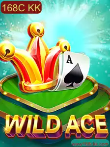 Descubra o Jogo Inovador WildAce: Guia Completo e Regras do Jogo